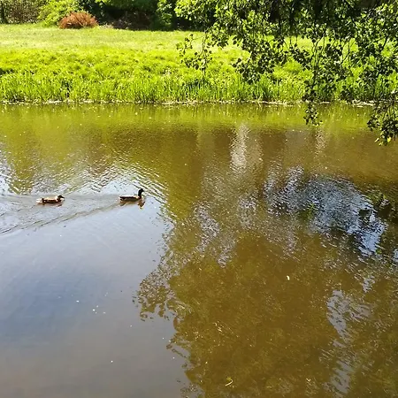 Apartment Bobrovia Warsaw